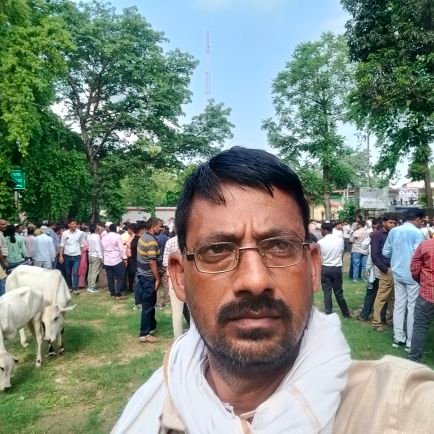 ChandrikaP66711's profile picture. 