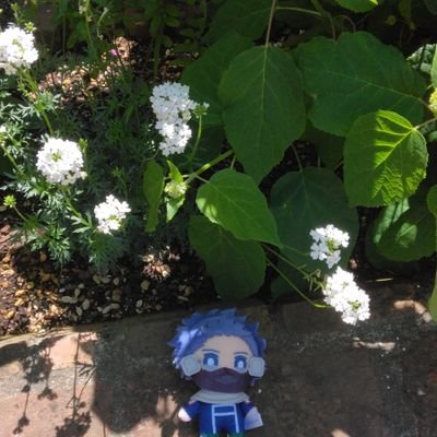 9biedJxtSb68677's profile picture. 心操人使がすき