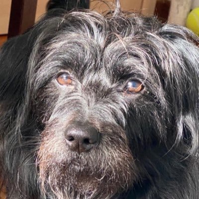 Marius280906's profile picture. 