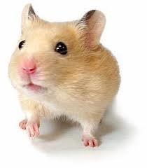 rtephonrc's profile picture. TOKIOってバンドとしてすっごく好きです！松岡くんかっこよすー(´Д｀＊)てか完成度高いですよね！ほんと！