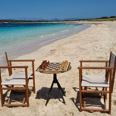 FelixPleyer's profile picture. ♟️ chess player