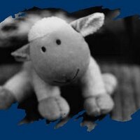 BigSheepđ (@bigsheeep) 's Twitter Profile