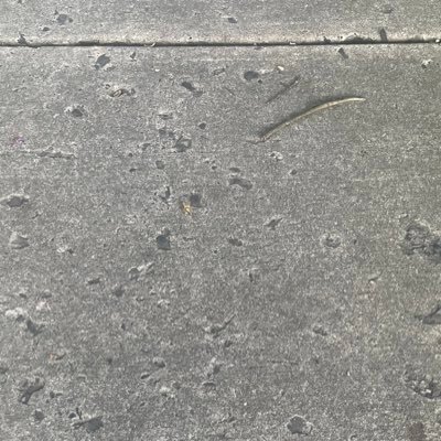 ALLABOARD25's profile picture. ✨Minus the bullshit ~life is GREAT✨