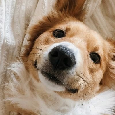 Unknown__guy07's profile picture. 