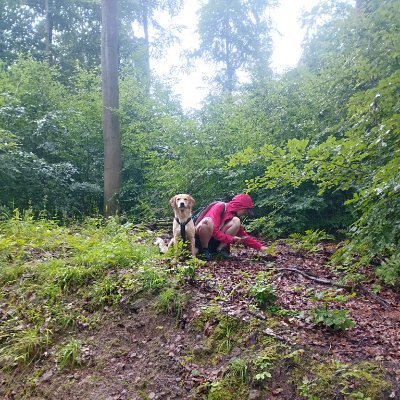 Student📗✏️Forest science and Forest Ecology #UniGöttingen
Interested in #Forestpathology and Entomology