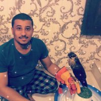 نـــــــٌوُآفــــــ نـــــــٌآدر🇸🇦 (@nawaf2aldossry3) 's Twitter Profile