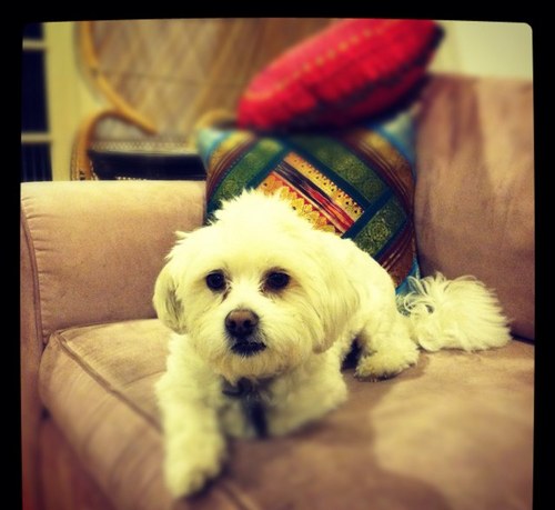 pshallenb's profile picture. 