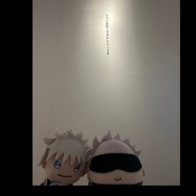 Jas3Chai's profile picture. 30↑成人済み 夢(呪術⑤推し)・腐(夏五) /日常・ハンクラ呟く雑多垢 ふわと生活中(かいぬしといろんなところにいくよ！) ふわ動画ふわ写真多め