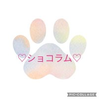 ショコラムの日々ฅU•ω•Uฅ (@miyumama_room) Twitter profile photo