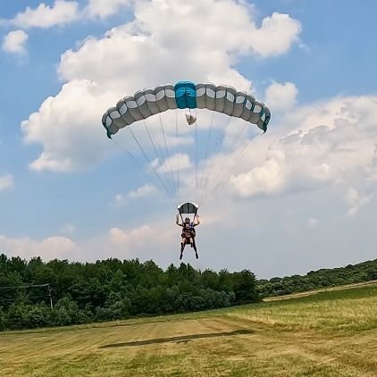 msmoralese's profile picture. 