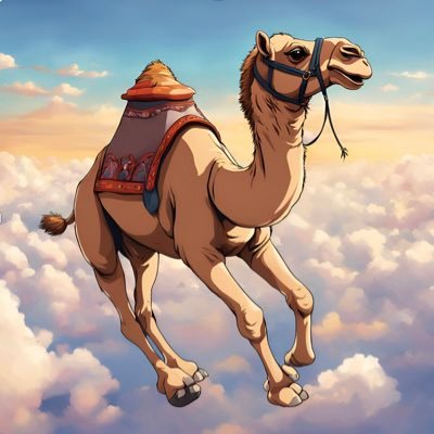 ソラクダさんのプロフィール画像