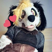 🐩 Nood Poodle 🐩 (@noodpoodle) 's Twitter Profile Photo