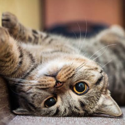 私は船員で、船の中で働き、船の中で暮らしています。🚢 私は責任感のある女性です。 私は仕事を楽しんでおり、何をするにも成功を目指して努力しています