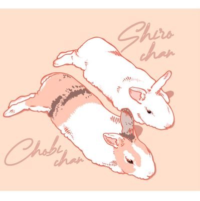 元保護うさぎシロチョビ女の子🎀なかよしふたり組🐰チョビ9歳。シロは永遠の8歳🌈
アイコンキキさん@mamememe1010ありがとうございます♡
シロチョビ記事にして頂きましたhttps://t.co/7oiBDfpBbW
れじちょさんありがとうございます♡