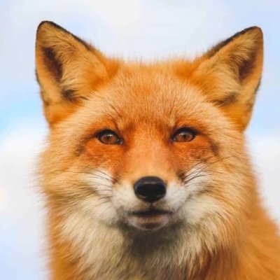 GeorgeW41188346's profile picture. 