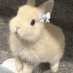 bunnyy (@nauraastil20224) Twitter profile photo bunnyy (@nauraastil20224) Twitter profile photo