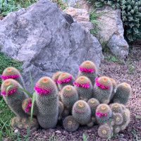 Truthprevails (@lizt2024242) 's Twitter Profile