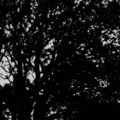 mixtureofjay's profile picture. 