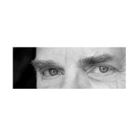 Michael Andrews (@mike_writer) 's Twitter Profile Photo