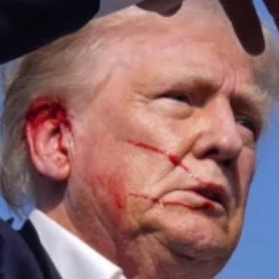 kona24's profile picture. 🍊🍊🍊