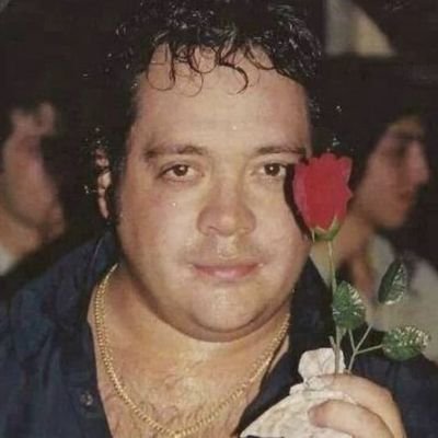 si me muero haganme el delineado.

soy dibusexual