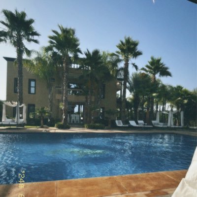 lprsn9's profile picture. 🇵🇸🇵🇸🇵🇸🇵🇸