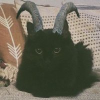 LaRossa (@larossa1_) 's Twitter Profile