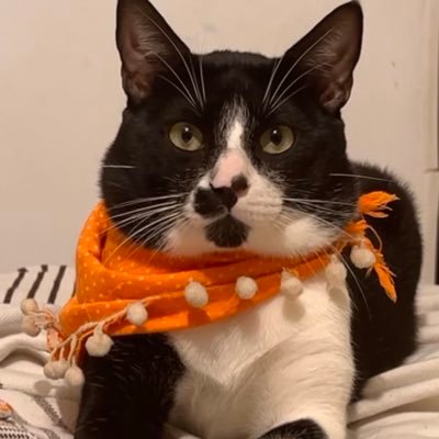 giravalencia's profile picture. Enamórate de ti, de la vida y después de quien quieras.