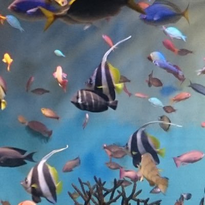 hirooo76162093's profile picture. 2022年6月にテックアイエス卒業。