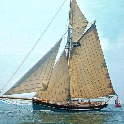 fran67242's profile picture. 