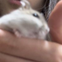 そら (@srsrlh) 's Twitter Profile