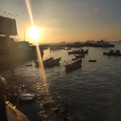 Sn2Vn's profile picture. 