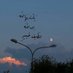 مرزوقه (@btlsayari) Twitter profile photo مرزوقه (@btlsayari) Twitter profile photo
