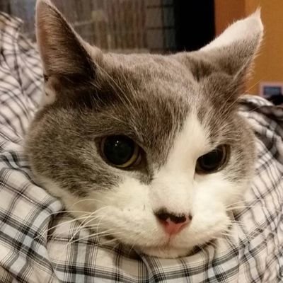 onlyzeiss's profile picture. 鍵率の数だけ羨望がある🎵面デカと超望遠大好き💕