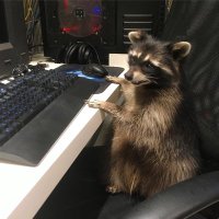 Dirt Nerd (@dirtn3rd) 's Twitter Profile