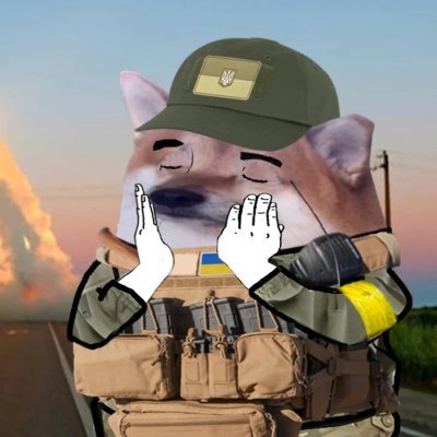 Fella créé par la CIA dans un biolab 🇺🇦 | #NAFO 🐶 Capitaliste € Pro ☢️ Développeur 🖥️ Linuxien 🐧 et Français 🥖🇫🇷 | Francophobes & cie ➡️ 🚮