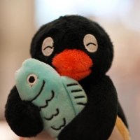 C_kakada (@c_kakada) 's Twitter Profile