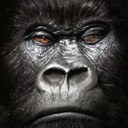 Beau Logan - @BeAuXLoG - Twitter