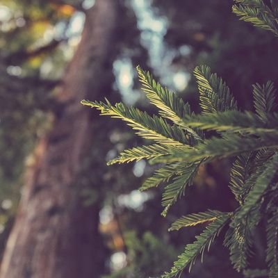 Gwiraaji's profile picture. now and tomorrow must be better than yesterday