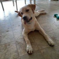 TheDawg (@chris75620206) 's Twitter Profile Photo TheDawg (@chris75620206) 's Twitter Profile Photo