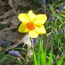 David OConnor - @david_ocon74804 - Twitter