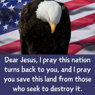 Proud Catholic. God first. Retired LEO. Analytical thinker and problem solver. Truth Social, GETTR