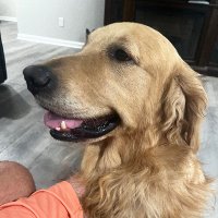 Jeff (@wardamn07) 's Twitter Profile