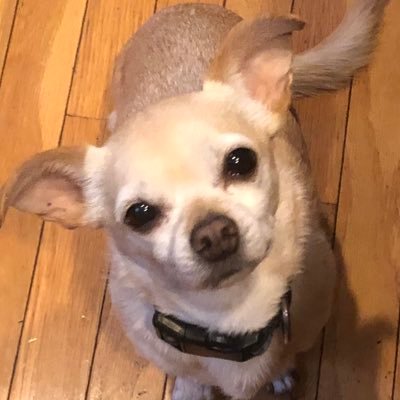 NerdGreatGramps's profile picture. 