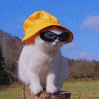 Mr Right 🥸 (@hui_hui_hui___) 's Twitter Profile