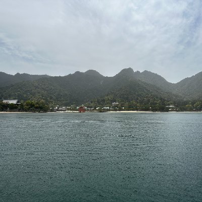 IgnacyZl's profile picture. Politics, economics, illicit financial flows