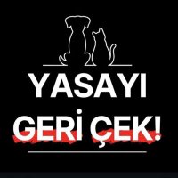 Dilekmia (@dilekdadelen9) 's Twitter Profile Photo Dilekmia (@dilekdadelen9) 's Twitter Profile Photo