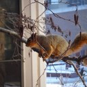 Lynn Westhoff - @LynnWesthoff - Twitter