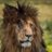 AlasidAlma12588's profile image