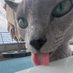 niktAS 🐈⬛ 🎗 (@_niktas_) Twitter profile photo niktAS 🐈⬛ 🎗 (@_niktas_) Twitter profile photo